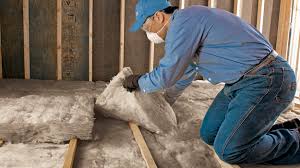 Best Radiant Barrier Insulation  in Lakeport, TX